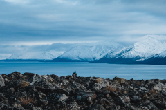 ARCTIC FJORD